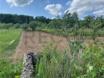 RECO TEREN CU FUNDATIE IN PETREU