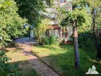 Vila deosebita, Brancoveanu, Luica, curte generoasa. Merita