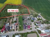 Teren Intravilan 16.700 Roman jud. Neamț / Strada Visinilor