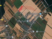 Teren lotizat 4,650mp Sabareni / Strada Cereanca