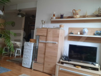 Apartament 2 camere, 55 mp, zona Centrala