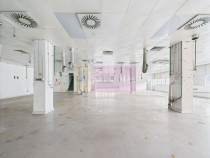Spatiu Industrial | Comercial Dristor VITAN | RACARI