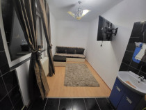 Camera de camin, zona Valea Rosie