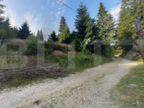 Investitie ! Teren intravilan 990 mp, front 23 m, Muntele B