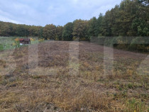 Teren intravilan parcelat - 2882 mp - Sat Bejan