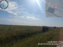 Cota de 1/4 din teren loc. Amarastii de Jos, Jud Dolj