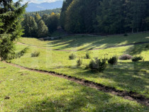 Teren intravilan 28 Ari zona Colibita