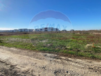 Teren 465mp Tunari / Strada 1 Decembrie