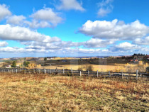 Teren parcelabil, front la strada, 5446mp, utilitati in zona