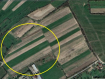 Rus, 13 ari teren, pret 10000E