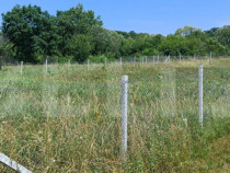 Teren extravilan de 1000 mp, situat pe strada Ghinzii