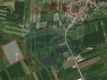 Teren extravilan agricol de v&acirc;nzare - Selimbar Sibiu