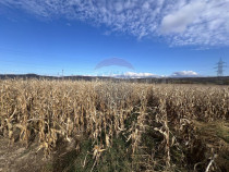 Teren extravilan agricol de v&acirc;nzare - Selimbar Sibiu