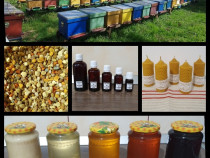 Miere și produse apicole