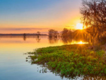 SISESTI teren. 5000mp iesire la LAC