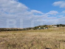 Teren intravilan 2100 mp, deschidere 16 m, Filiasi