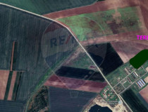 Teren agricol 14,200mp zona fermei din Zimandu Nou