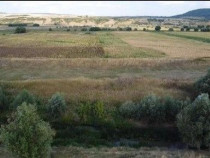 Teren Extravilan Banca, ID: R2805492