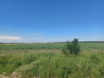 Teren intravilan, 12000 mp, Ciorogarla, jud. Ilfov