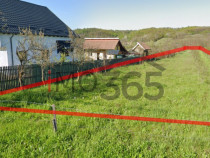 Teren intravilan Babana Primarie 2893mp stradal