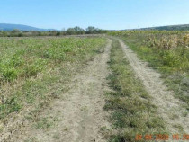 Teren extravilan arabil, situat in Oravita, Jud Caras-Sev...