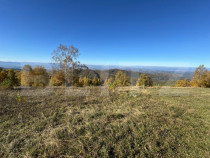 Teren extravilan 6.360 mp in Târsa