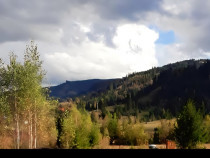 Teren intravilan munte pentru casă de vacanță 1200mp