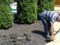 Amenajari gradini, scarificat,plantat copaci