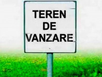 Teren intravilan de 1014 mp, P+1+M, Calea Torontalului