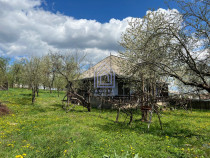 48 ari teren , cu casa batraneasca, Antoceni, Forasti, Sucea