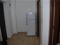 Dimitrie leonida metalurgiei monaco