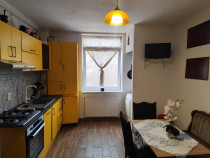 Apartament 2 camere, mobilat și utilat, zona pitoreasca, Ferneziu