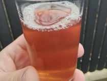 Vin alb nohan feteasca riesling