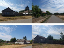 Cota de 1/2 din casa si teren Loc. Beba Veche jud. Timis,