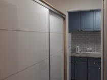 Romana victoriei stirbei voda