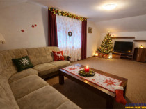 Vila cu 6 camere si garaj propriu, Centrul Istoric Drumul Po