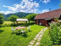 FILM Tur LIVE! Casa de vacanta, intr- o ariere admirabila,Lu