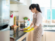 Aducem la cerere. Muncitori din Asia,Africa și țări din afara Uniunii