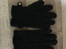 Manusi REED&rsquo;s Austin