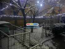 Buc Noi Lidl Casa 3 camere SU 85 mp Teren 300 mp