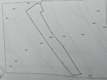 Teren 3.486 mp la drum &ndash; Iacobeni (Dandoaia) &ndash; CF + cadastru