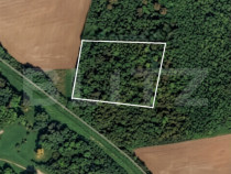 Parcelă 10.000 mp la liziera pădurii, Șag &ndash; front strad