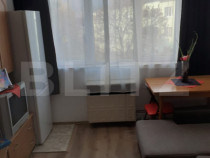 Garsoniera de vanzare, 22 mp, renovata, mobilata, zona Noua