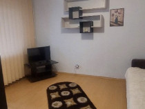 Garsoniera de inchiriat lapus arges et1