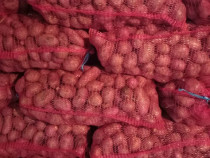 Cartofi consum red lady