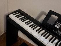 Roland fp10 keyboard with pedal and piano chair