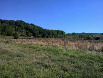 Teren 3000 mp Govora