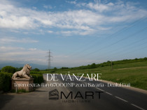 Teren 6,7 ha Dealul Daii langa Bavaria