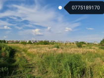 Teren 250, 500, 1000 mp intravilan Manolache Catelu, Pallady