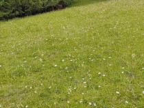 Teren sat Chiril, Jud.Suceava